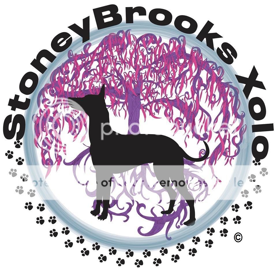 photo logo copyrighted.jpg