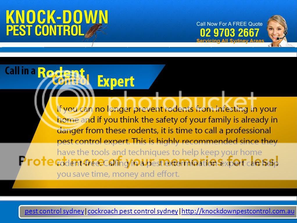 Pest Control Sydney - Call In a Rodent Control Expert (c) pestcontrolSOLN highly recommended site